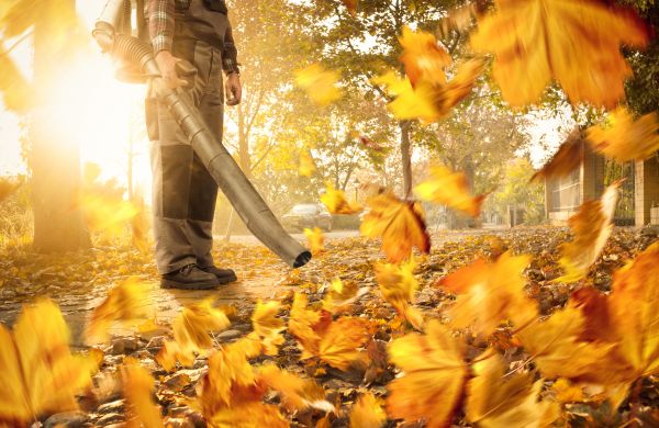 Leaf Blowing Service in Sun City Center