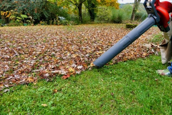 Leaf Vacuuming Service in Sun City Center