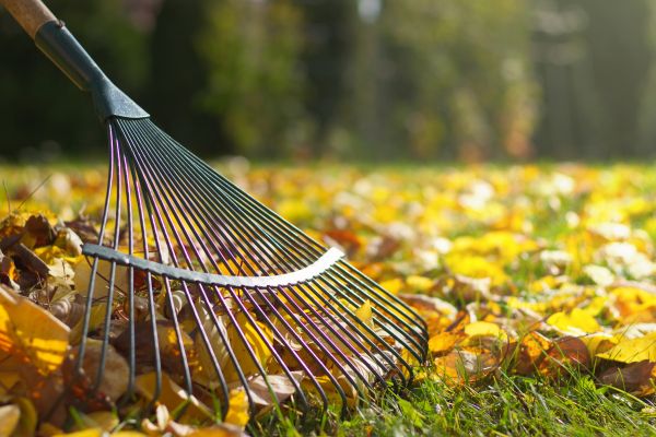 Leaf Raking Service in Sun City Center
