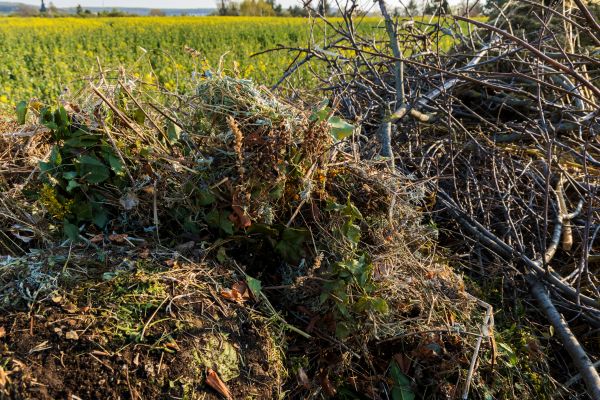 Brush Disposal in Sun City Center