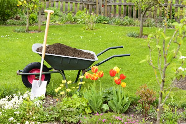 Spring Yard Cleanup in Sun City Center