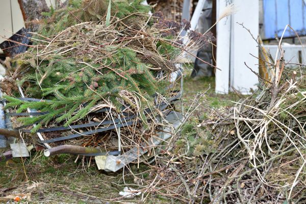 Yard Waste Removal Service in Sun City Center