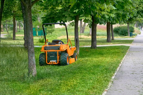 Landscaping Cleanup Service in Sun City Center