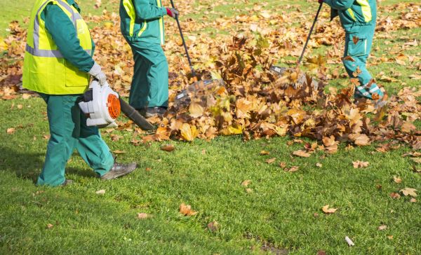 Leaf Maintenance in Sun City Center