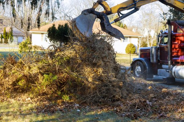 Storm Debris Removal in Sun City Center
