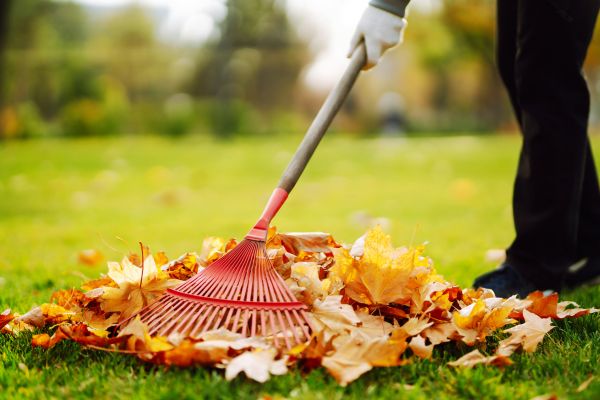 Ditch Leaf Removal in Sun City Center