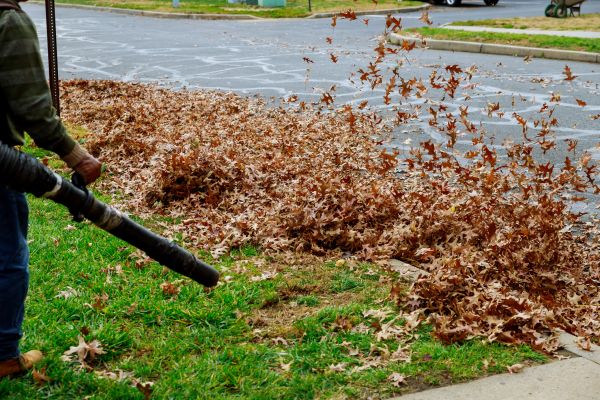 Garden Leaf Removal in Sun City Center
