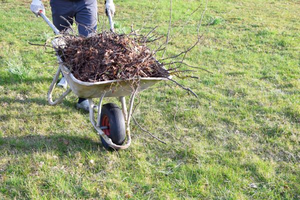 Yard Brush Removal in Sun City Center