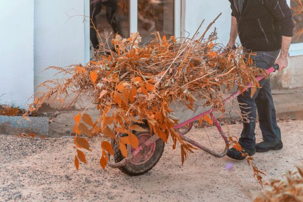 Cost of Lawn Debris Cleanup in Sun City Center
