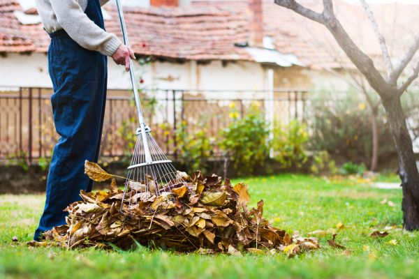 Spring Lawn Cleanup in Sun City Center