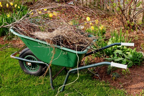 Lawn Waste Removal in Sun City Center