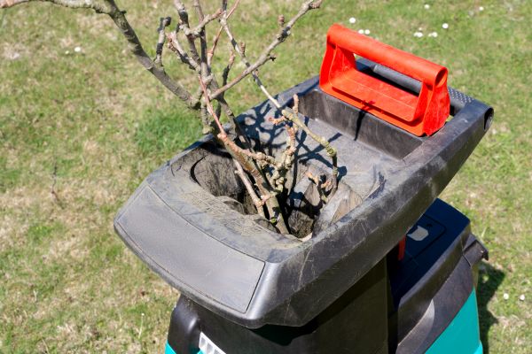 Cost of Brush Cleanup Service in Sun City Center