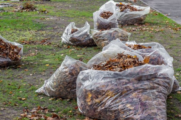 Leaf Pile Disposal in Sun City Center