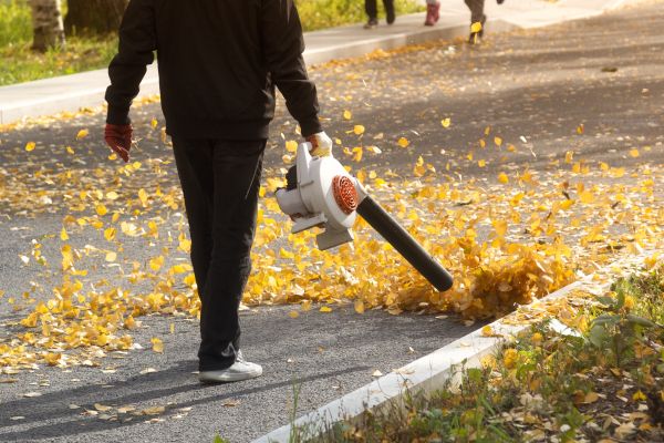 Commercial Leaf Removal in Sun City Center