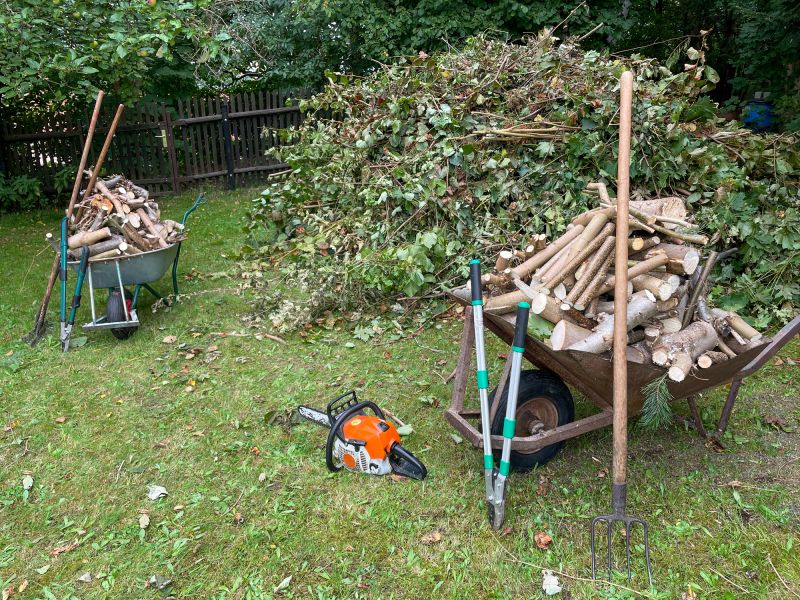 Lawn Debris Cleanup detail