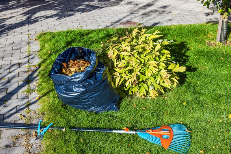 Lawn debris clearing