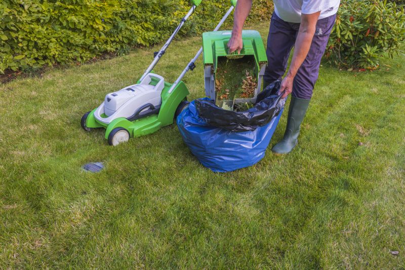 Spring lawn prep
